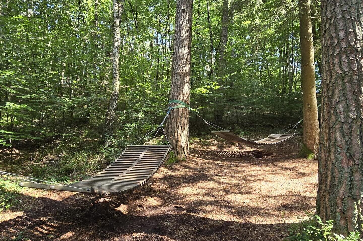 Raus in die Narut: 2 Hängematten zwischen Bäumen, Sonne scheint durch das Laub