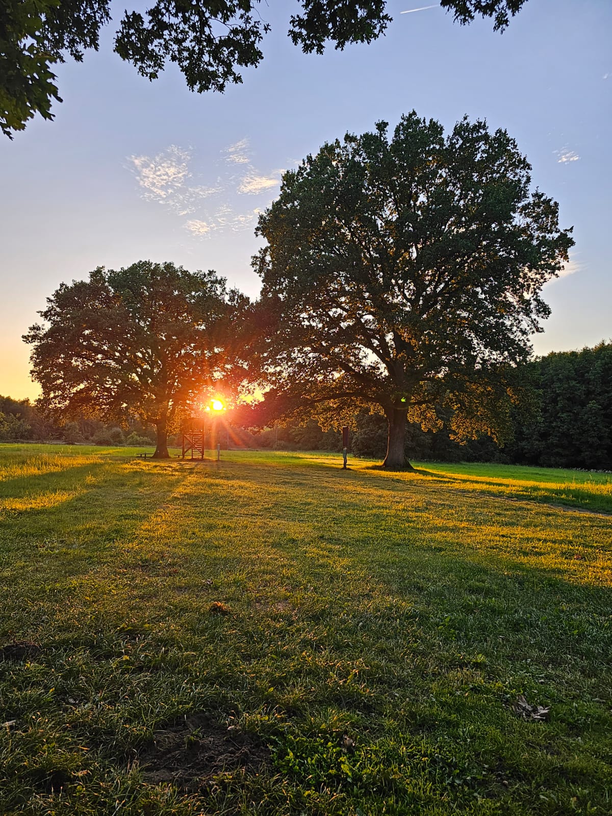 Sonnenuntergang im Barfußpark
