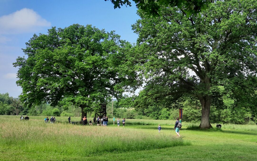 Musikalischer September – letzte Barfuß-Highlights dieser Saison