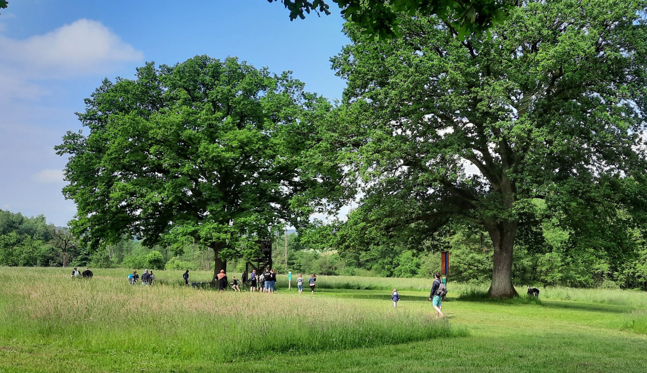 Barfuß-Highlights im September